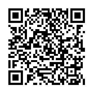 张参议言他昨日偶然得了一卷据说是怀素和尚的二维码生成
