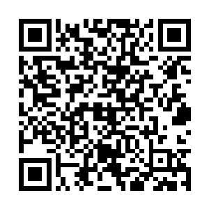 张潇晗没有在里面看到他们捕获的白鱼的详细介绍二维码生成