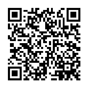 张璐涵组织排练的时候根本就没让咱们班其他人看二维码生成