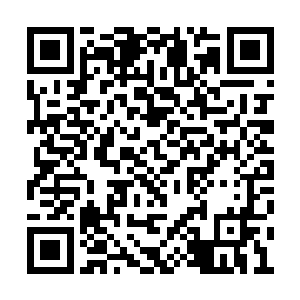 张萧晗觉得自己真是用不着接任务去赚贡献点了二维码生成