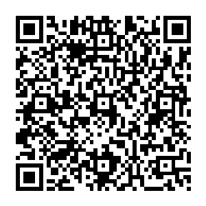 当初的时候在武神宝藏之中击杀那个神界的高手血无痕的时候就吸收了血无痕的不少记忆二维码生成