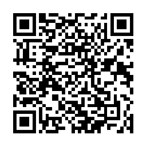 当年怒极的我们抓到在那些人的尸体上寻找线索和信息二维码生成