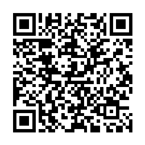 当时从神技境界巅峰到宗师境界初期只用了一个月便达到了二维码生成