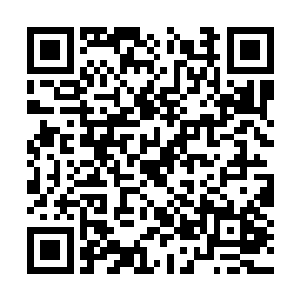 当林寻鹤中午的时候终于找到了梁雨馨所在的公司二维码生成