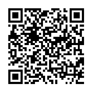 形成了一张比星系天才榜大上了一百倍一千倍甚至一万倍的榜单二维码生成