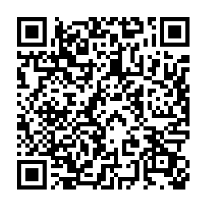彻底的把文森特给激怒了……这时候也终于暴露出他真正的底牌了二维码生成