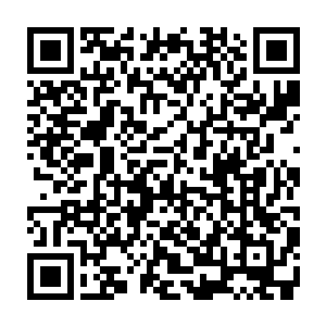 彻底的被一种他一辈子都没有体验过的无与伦比的痛苦所彻底的击昏过去二维码生成