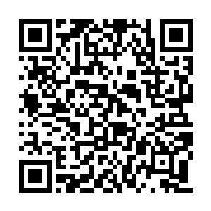 很细心地帮着她擦拭着手指上的一枚红珊瑚戒指二维码生成