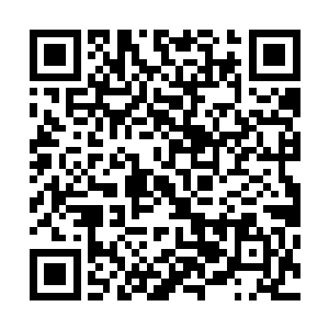 徐堂然还得想办法编造宫雨菲和李环堂无懈可击的死因上报二维码生成