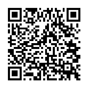 心里已经磨刀霍霍地计划着一系列全才儿童培养计划了二维码生成