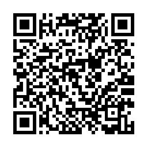 必须得有宁海市人代常委会批示同意逮捕的文件才行二维码生成