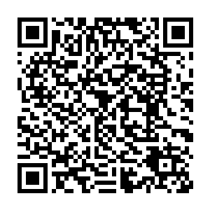 忽然从前面的树丛里面一只小狗熊模样的小家伙探头探脑的看了过来二维码生成