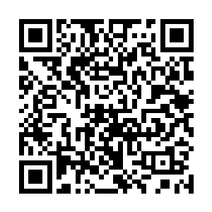 总不见得是时间之主在时停过程中主动将对方搬离原地二维码生成
