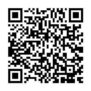 恍然明白为什么会在隐世家族修士的储物戒指中发现生命之气二维码生成
