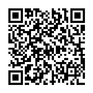 恐怕就连你们也不敢和贺拉斯彻底撕破脸皮直接开战吧二维码生成