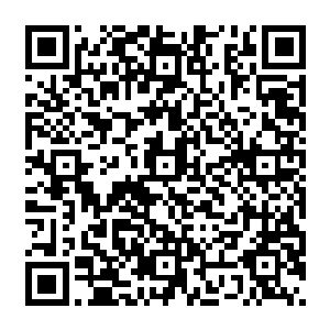 恐怕快比得上拥有梦魇吸能体质的梦魇之王了……那么……也就是说世界意志认可对方二维码生成