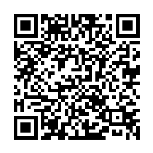 恢复了那副温和但深不可测的彭格列十代目的模样二维码生成