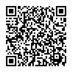想到早上一进教室看到这几个家伙一排的站在教室窗户边上飞快橹动着的模样二维码生成