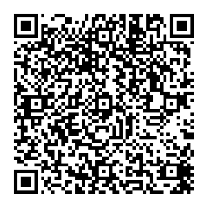 想到此处　不再犹豫　指甲缓缓的嵌入石头　这看似无比结实的石头　在他锋锐的指甲之下　就像是豆腐一般　轻轻松松的就二维码生成