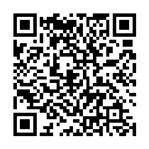 想必也不介意死后再挨这么几下――帐多不愁虱多不痒二维码生成