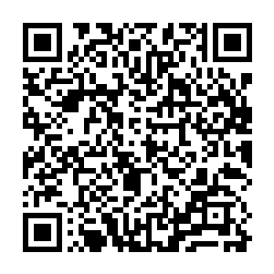 想起十几年前教宗师叔在渐成废墟的南城里抱着青叶与圣后娘娘苦战时的画面二维码生成