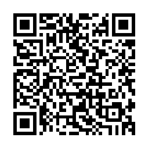 慕容这个一无是处的傻子究竟是何时学会了这般美好的舞蹈的二维码生成