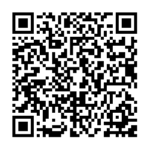 懒洋洋坐在主位上的流墨墨听到月白的声音原本懒洋洋的样子愈发慵懒起来二维码生成