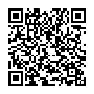 成为杨锐这样的人――能有人主动给几万块的研究经费二维码生成