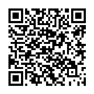 我们仍然愿意向你和你的同伴表达我们诚挚的歉意二维码生成