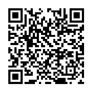 我们会在你作证完毕后将你安排到南美的某个国家二维码生成