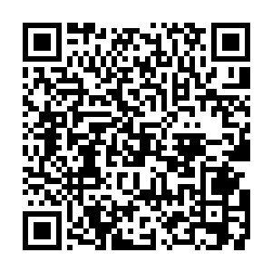 我们八大……如今是九大一流家族会各自率领一部分二流或者三流家族镇守一方二维码生成