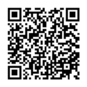 我们准备展开大规模的留学和双方学者互访活动二维码生成