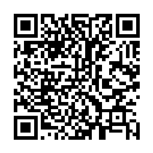 我们大衍会的高手会用特殊的结界帮叶小姐压住身上的封印二维码生成