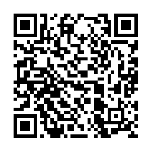 我们完全是按照特种部队的模式进行组建和训练的二维码生成