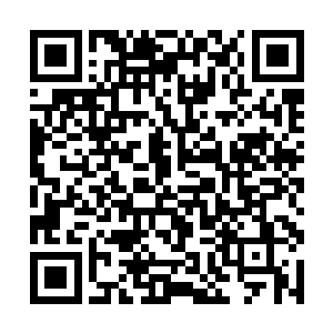 我们家的内奸最多也就做到了一成武殿分殿主的位置二维码生成