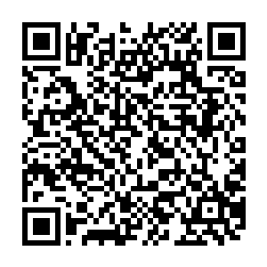 我们无命佣兵团所接受的任务就是将这十枚资格牌送至夜氏家族少主夜染之手二维码生成