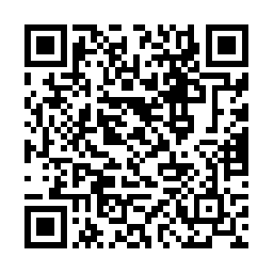 我们无法坐视丰城区和这两个区的巨大反差不闻不问二维码生成