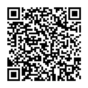 我们林家第三代后人去找裘业伦的后人提出要学会八门灵术的时候二维码生成