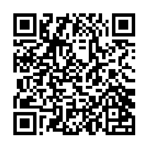 我们的小朋友完全是靠着双腿跑完了求救的漫长路程二维码生成
