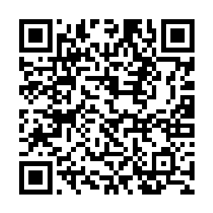 我们的族人比起其他上城已经算神血战士比较多的了二维码生成