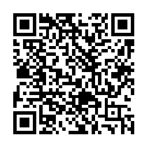 我们这个我估计总飞行距离还不到普通民航客机一年的里程二维码生成