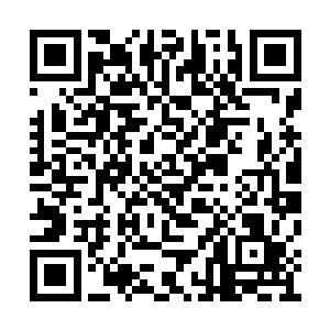 我估计满朝文武这会都在发疯一样的往定州赶路二维码生成