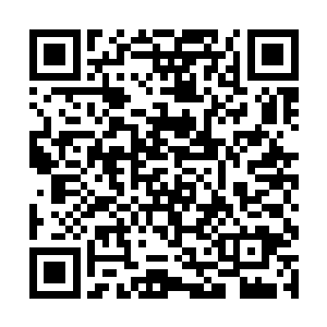 我决定以后人界的统治权将不再掌握在一个人的手里二维码生成