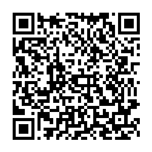 我准备从我的股权中分出百分之一给不会随我们离开地球的颜家族系二维码生成
