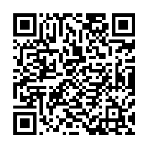 我发现他们的修为和我们这个世界的修为是根本就不一样的二维码生成