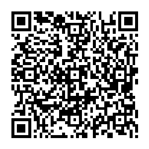 我只问你如果隋姐和我们在骑龙岭风景区里边搞这样一个比上不足比下有余的旅馆二维码生成