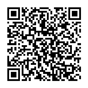 我和澹台璃一起离开租住地方途径罗琳房间门口时候我顿住了脚步二维码生成
