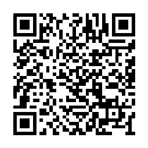 我和陈阿林与弟兄们被总司令派往顺德执行任务二维码生成