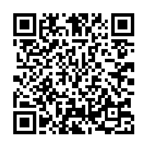 我喜欢你们的坚持和抗争――我敬重这样的民族二维码生成