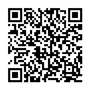 我已经累得连浮空战堡厕所里的全自动抽水马桶都快控制不了了二维码生成
